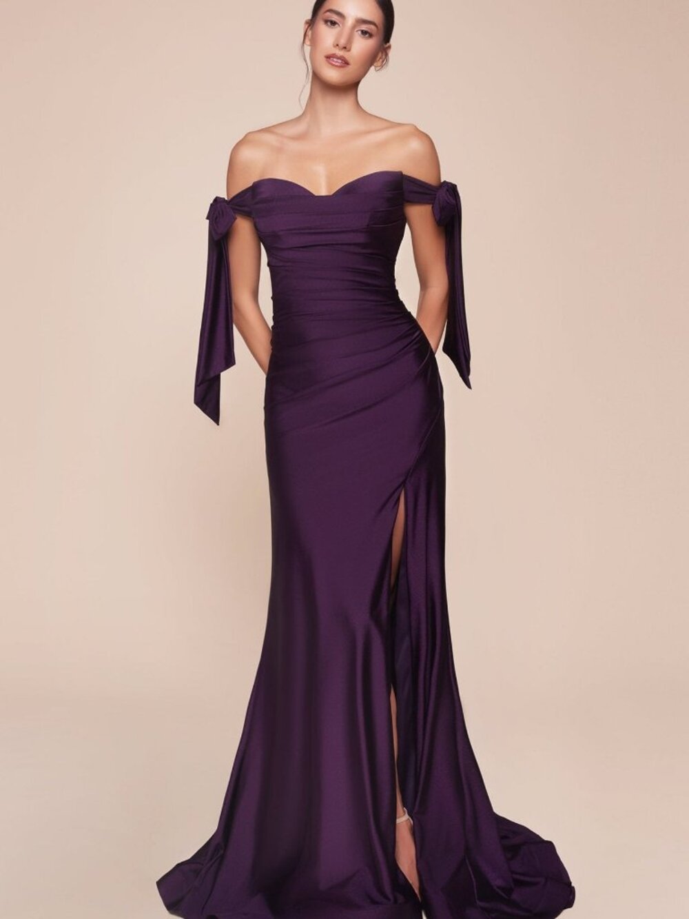 NEW EGGPLANT Evening Gown Floor Length Formal Elegant Stunning CD943